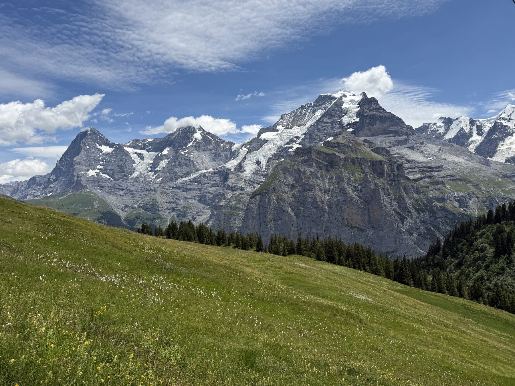 Schneebedeckte Gipfel über grünen Wiesen bei Mürren