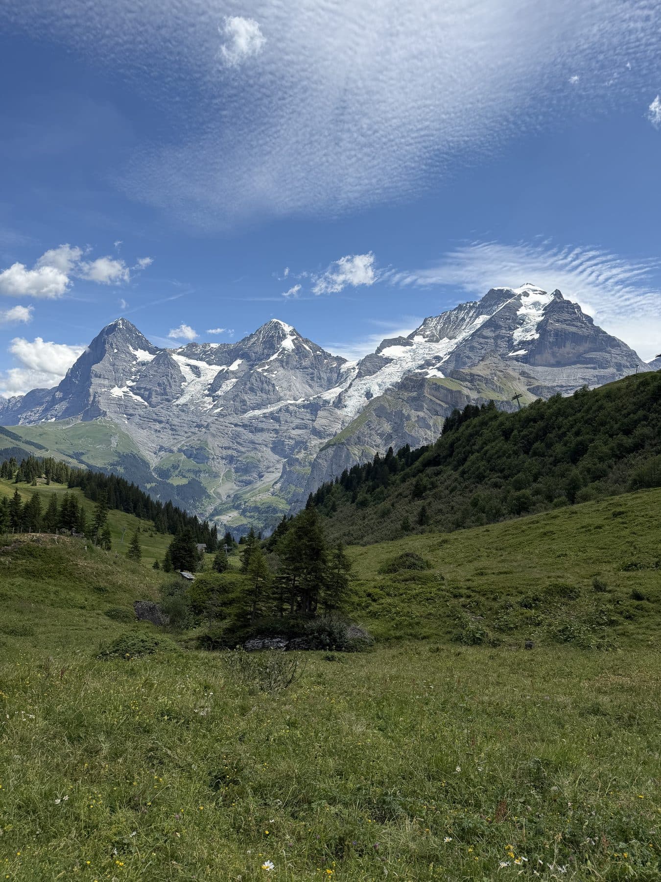 Blumenwiese mit Blick auf die Jungfrau-Region